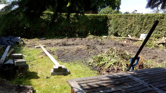 The space after a few days spent weeding and clearing